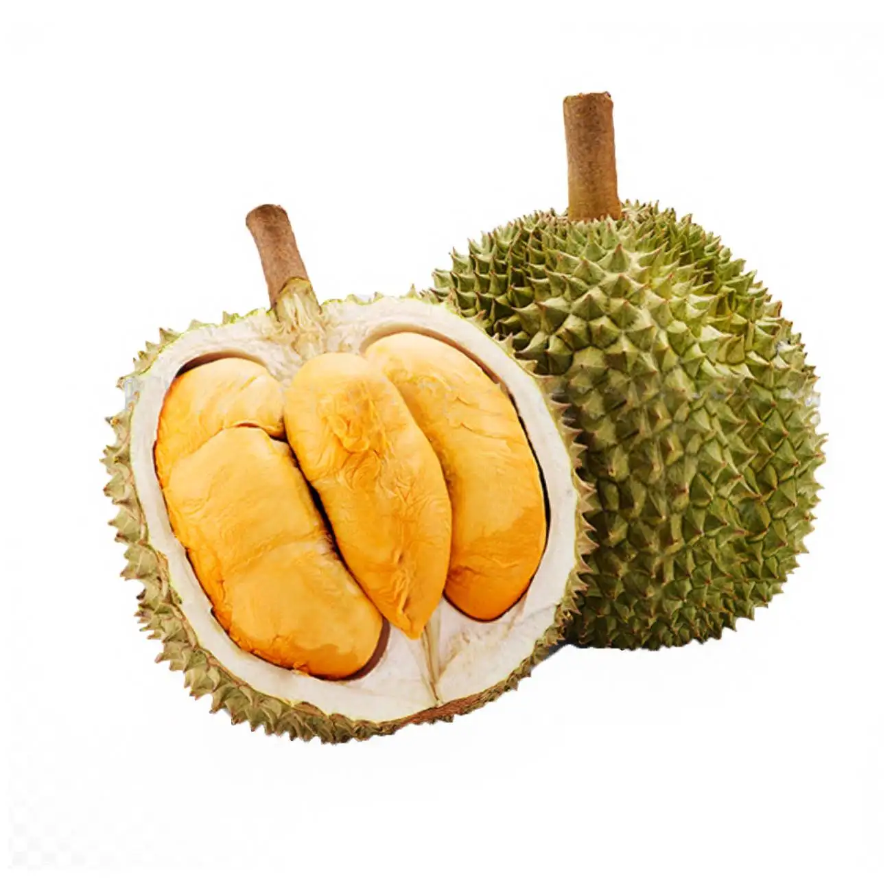 Top Selling Wholesales Malaysia Musang King Frozen Durian 2.2kg Weight Whole Shape In Vacuum Pack 18 Months Shelf Life