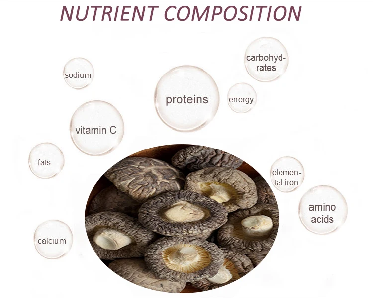  dried shiitake mushrooms Wholesale Factory Sell 2-4CM dry