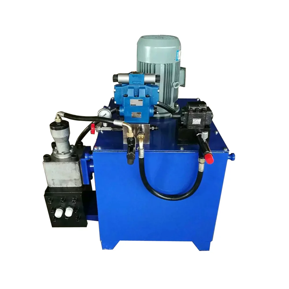 Custom High Quality OEM Standanrd 220v Dc Motor Mini Hydraulic Power Pack Unit
