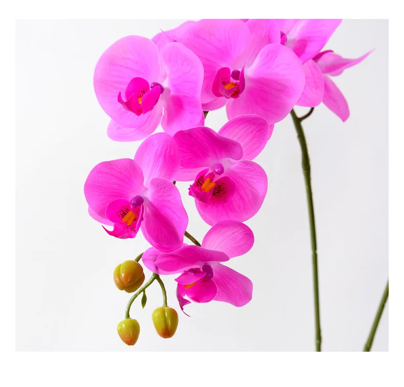 Natural real Touch Latex Home Decoration Moth Orchid fake orchid for decorative flowers artificial moth orchid