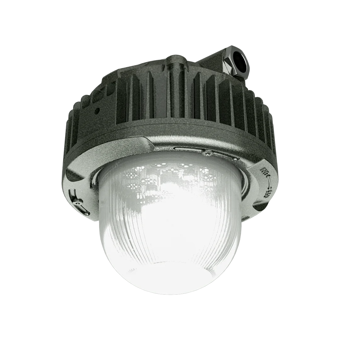 ATEX 10w 20w 30w 40w hazardous area zone1 zone2 class 1 2 lighting platform light IP66 pendant LED explosion proof fixture