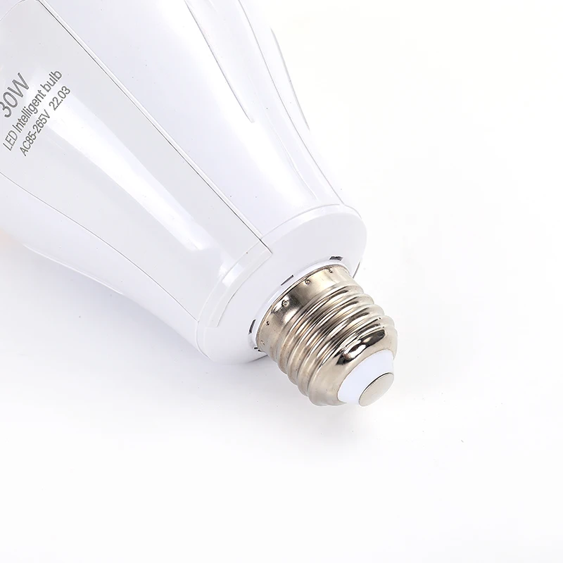 Newest 2022 Portable Battery Led Light Bulb 15w 20w 30w Emergency Charging Bulb