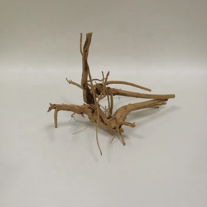 Aquarium Terrarium Landscaping Planted Tank Natural Spider Driftwood