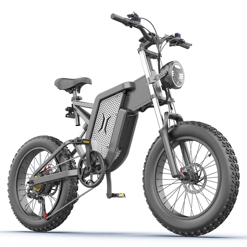 X20 E-Mountain Bike 20inch Electric Bicycle 2000W 20AH 48V E-Bike