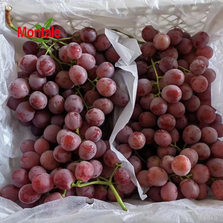Chinese Factory Price Top Quality Fresh Red Grapes Supply
