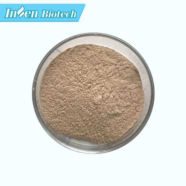 
High Quality Feed Additive Bacillus Coagulans Powder 