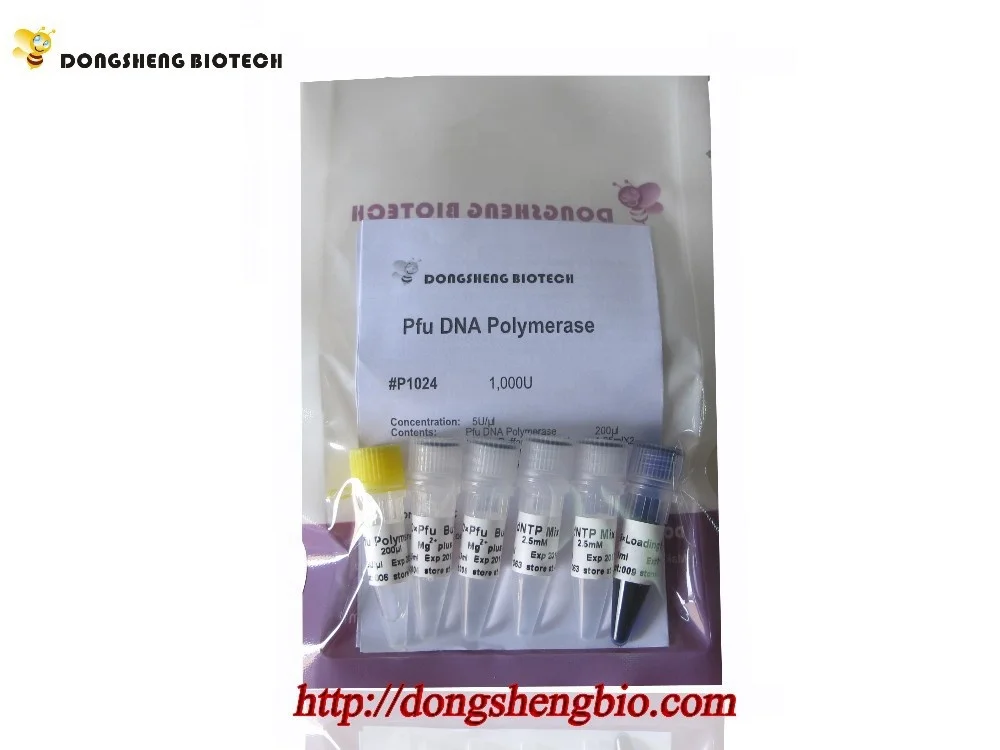 ПФУ ДНК-полимераза, высокоточная ПЦР