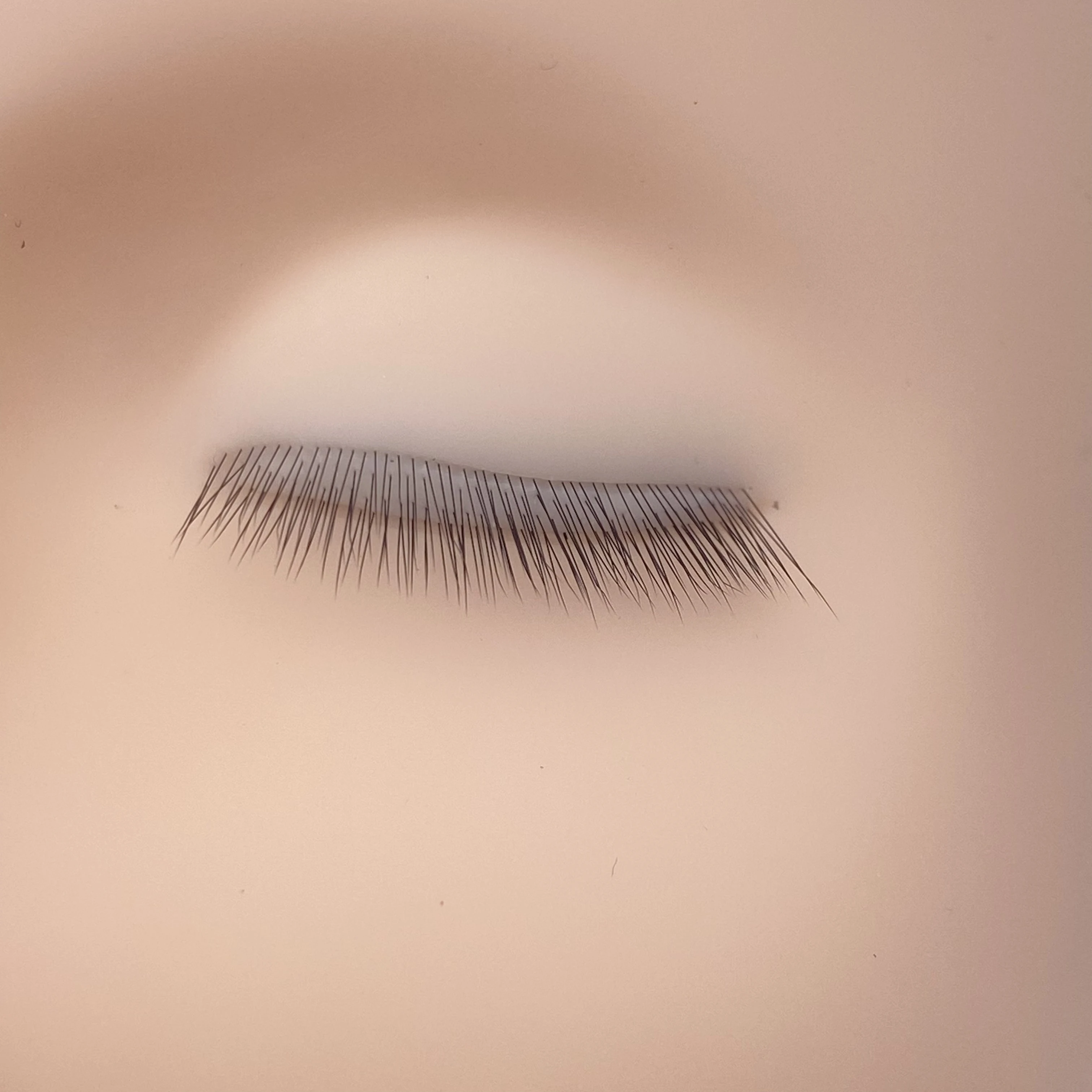 Professional Eyelash Extension Training Mannequin Head Beige Coffee Mannequin Head with 3 4 layer eyelash extension