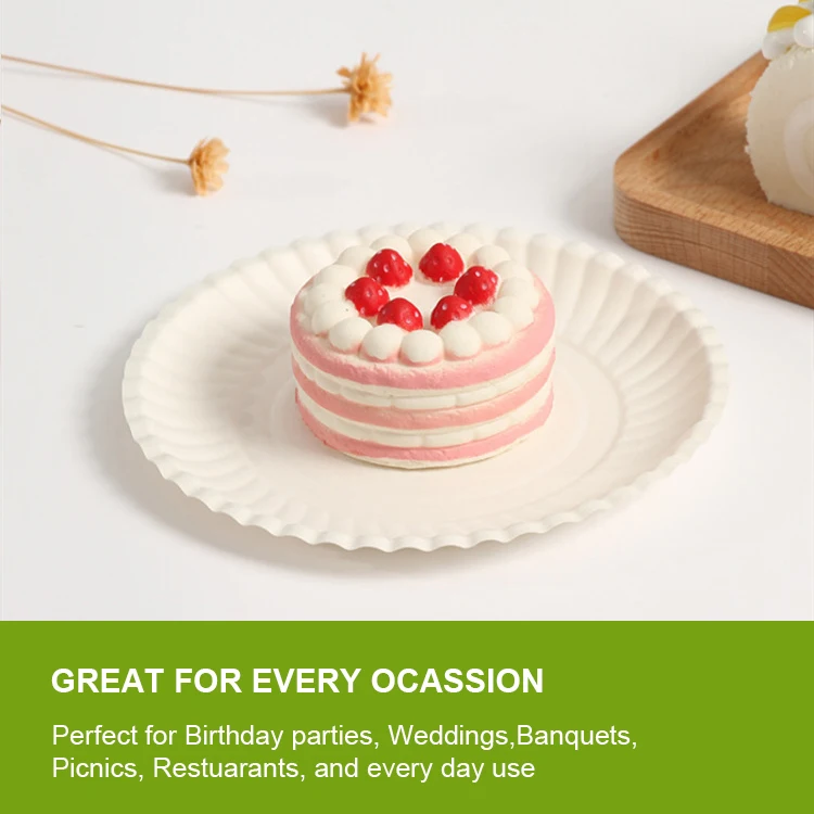 Multiple Sizes Bulk Disposable White Uncoated Paper Plates for Appetizer Lunch Dinner Perfect Dinner Plates Compostable Plates