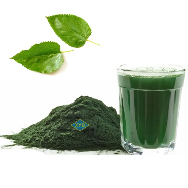 Wholesale bulk price 100% organic mulberry extract sodium copper chlorophyllin powder halal supplement liquid chlorophyll