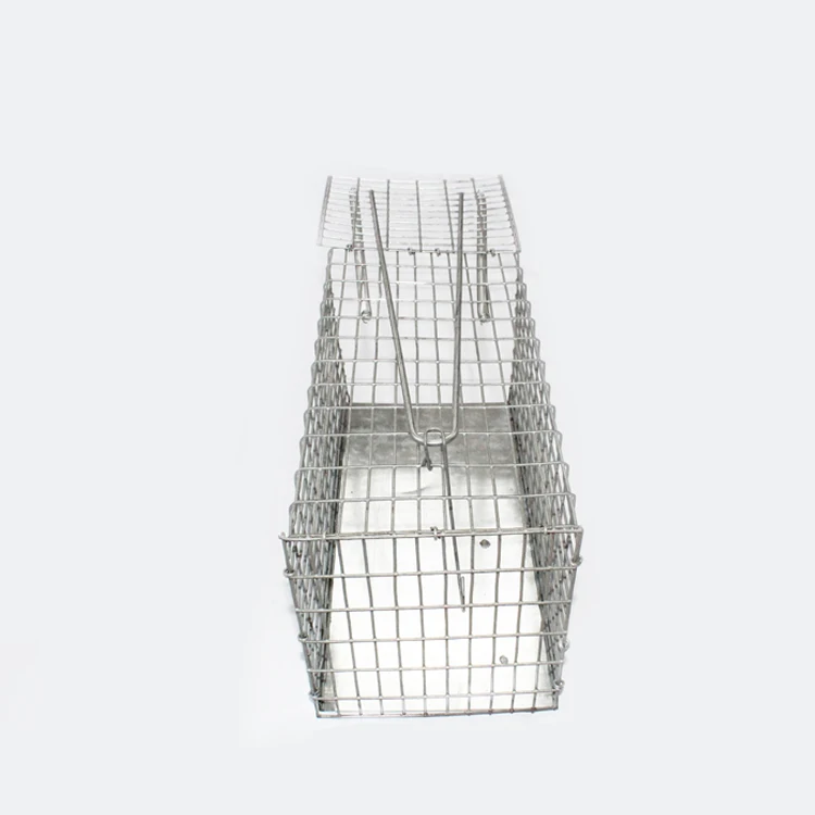 Humane Smart Mouse Trap Live Catch And Release Rodents, Safe Around Children & Pets