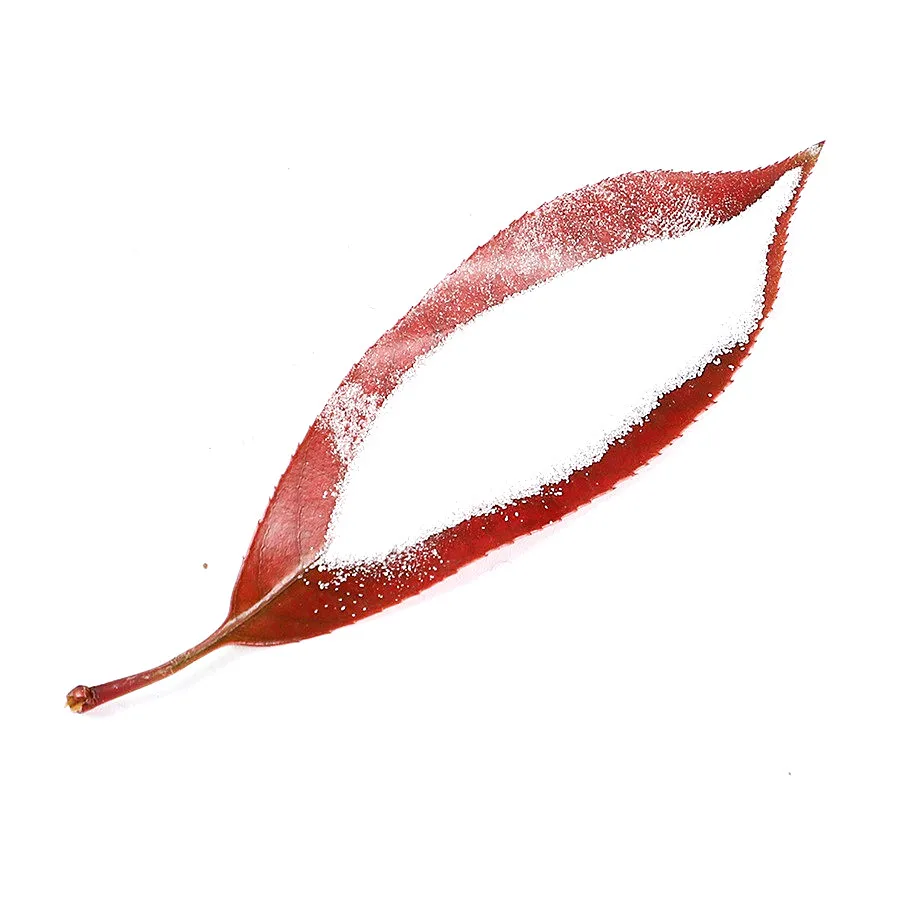 Додециловое моющее средство высокой чистоты по заводской цене, промышленный сульфат натрия безводный 99%