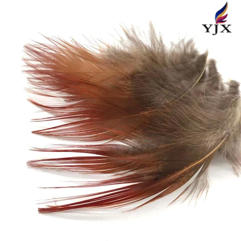 Wholesale  Natural  Color  Golden Pheasant Feathers    Pheasant Plumage  Feathers