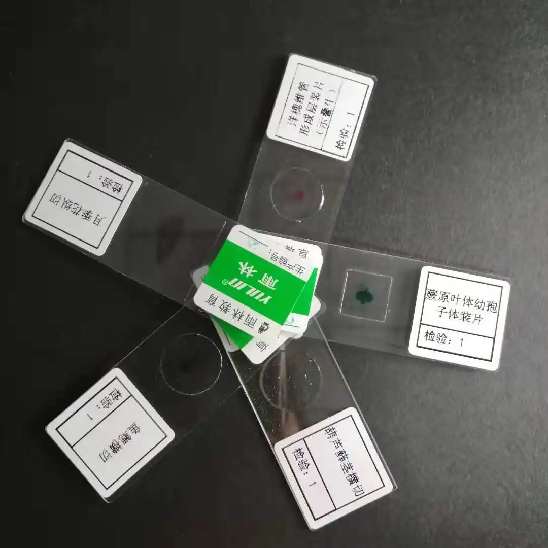 Mixed microscope glass slides set microbiology prepared slides kids children educational stain laboratory consumables