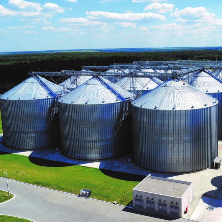 10000Ton Wheat Flour Storage Bins With Overall Silo System Solution