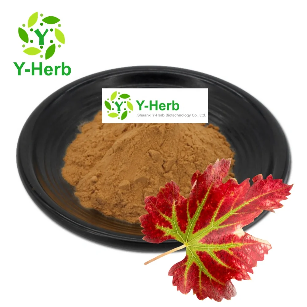 Organic Vitis Vinifera/Grape Leaf Powder Extract Water Soluble 10:1 Pu Tao Ye/Grape Leaf Extract