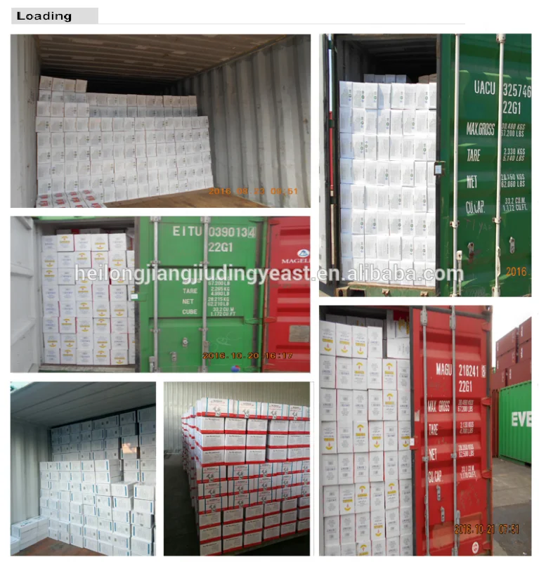 
Active Thermal Tolerance Alcohol Yeast 