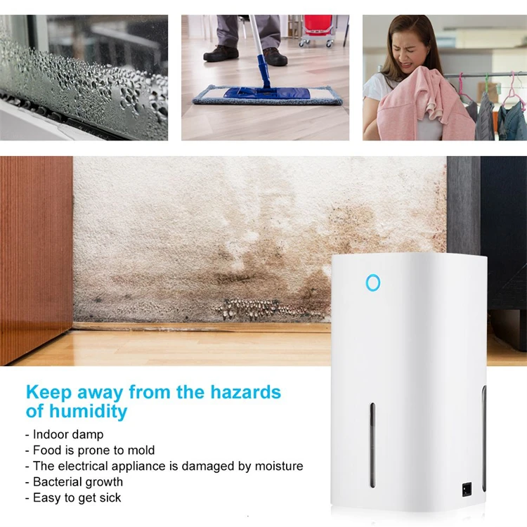 Mini Dehumidifer (1).jpg