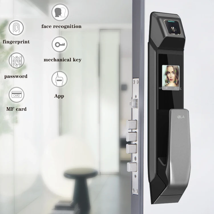 Smart Electronic Digital Password Locks without Handle Face Recognition Fingerprint Door Lock 2 Years 1 Sets Zinc Alloy EF06 ELA