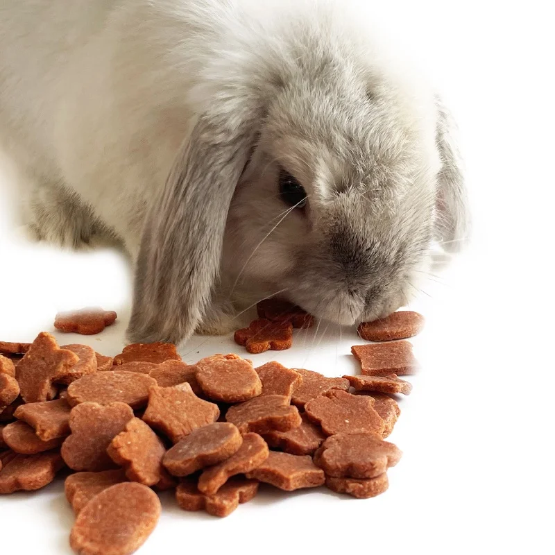 2022 Sell Rabbit Guinea Pig Hamster Chinchilla Sugar Glider Snacks Hedgehog food rabbit chew toys hamster guinea pig  treat food