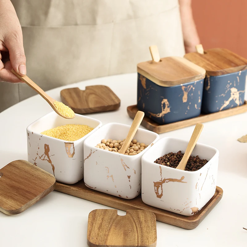 Spice Jars Set Eco-Friendly Home Goods Kitchen Salt Seasoning Jar Set Ceramic Spice Jar With Wood Tray And Lid