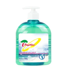 Rayshine Wholesale Custom Private Brand  eco-friendly Ocean fragrance Liaquid Soap for hand washing with Pump Head 500G