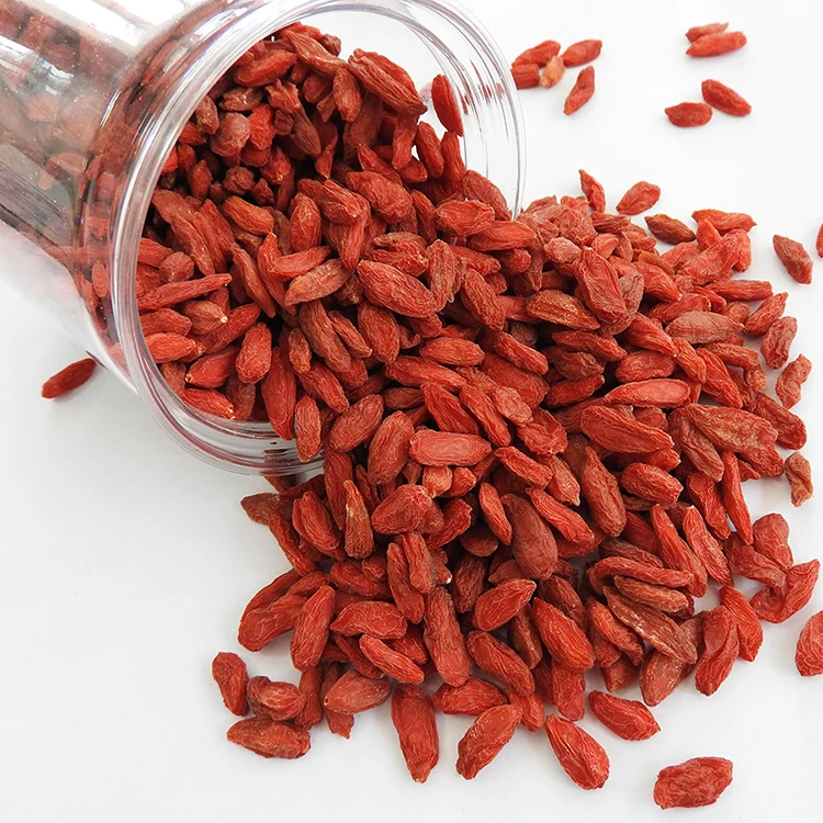 Hot Sale Ningxia High Quality Goji berry