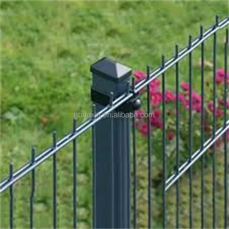 2D direct sell factory gardening  power coated pvc  656 double wire fence 868 double wire mesh panel