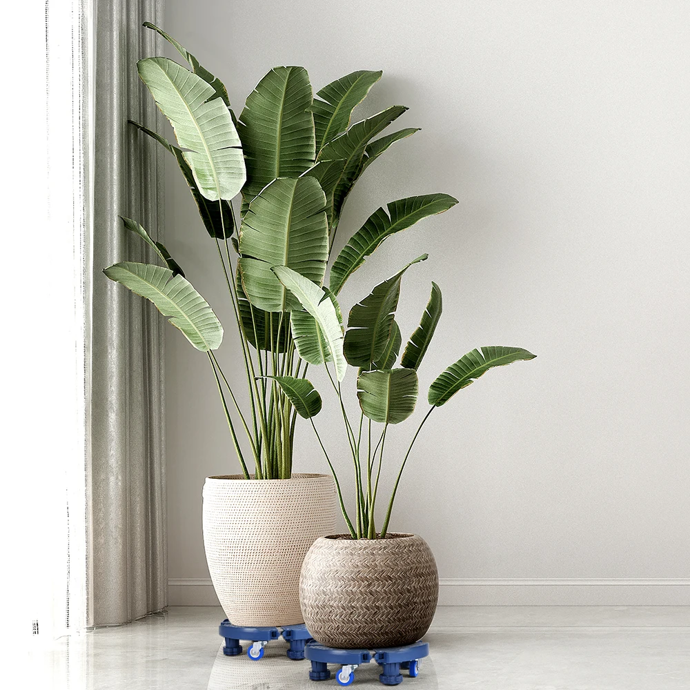 Winslow & Ross stretch at will flower pot stand rack 360 degree rotation potted gardening flower pot tray for succulent
