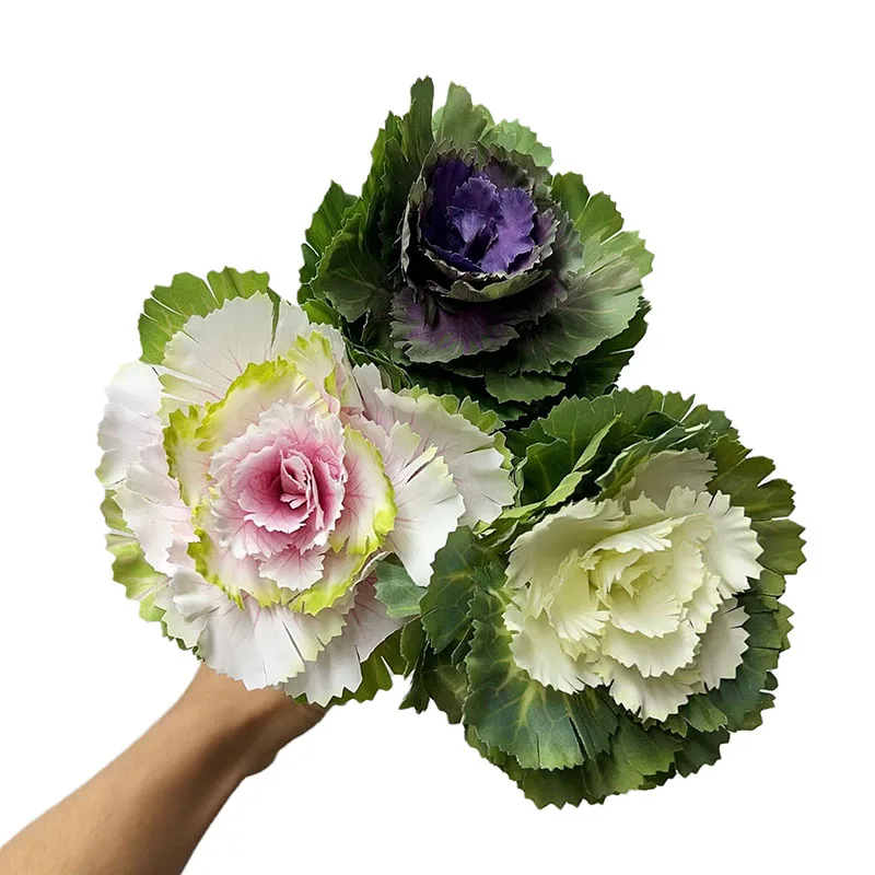 DREA Artificial Brassica Ornamental Cabbage Stem Olive Cabbage Fake Flowers Decoration