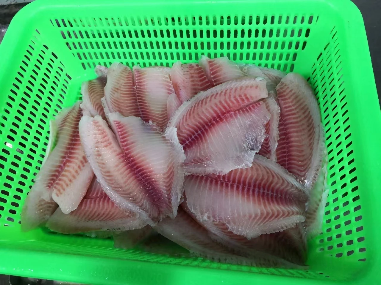 7-9 oz Tilapia Mossambica Fillet Types of Fish Fillets Frozen   Tilapia Fillet  Tilapia Mossambica