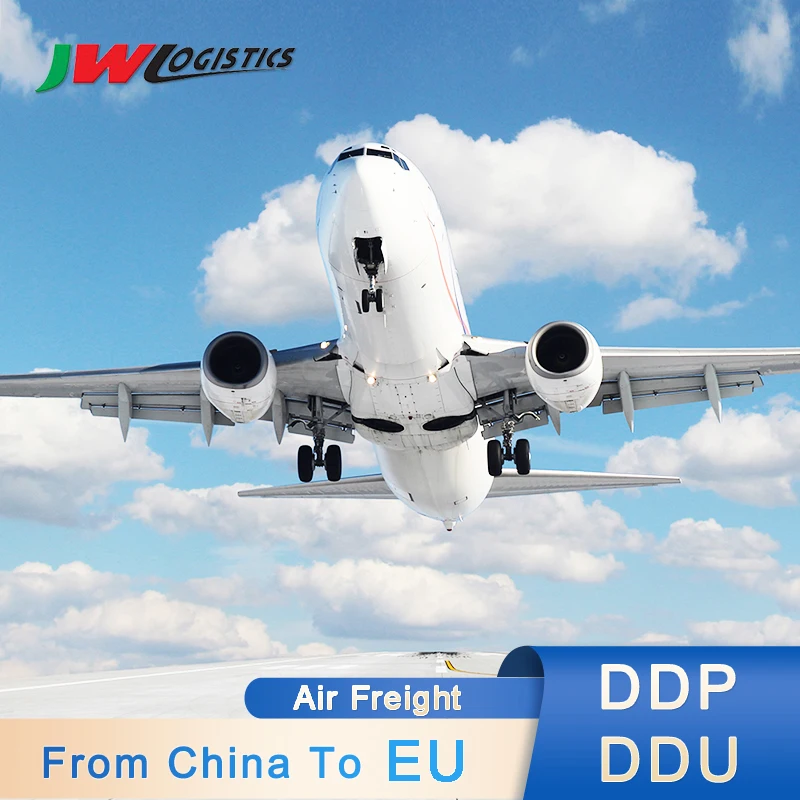 China top 10 sea freight forwarders to USA/Canada/European Inspection Service