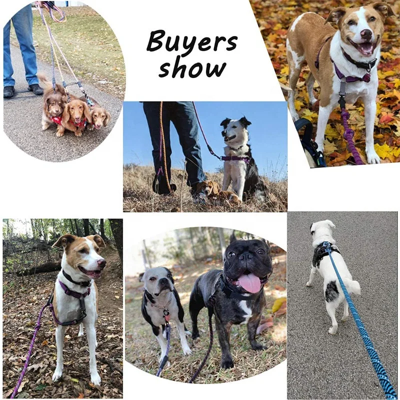 High Quality Multi Color Braided Rope Leash Dog Nylon Dog Leash Rope Puppy Dog Leash Pad Handl