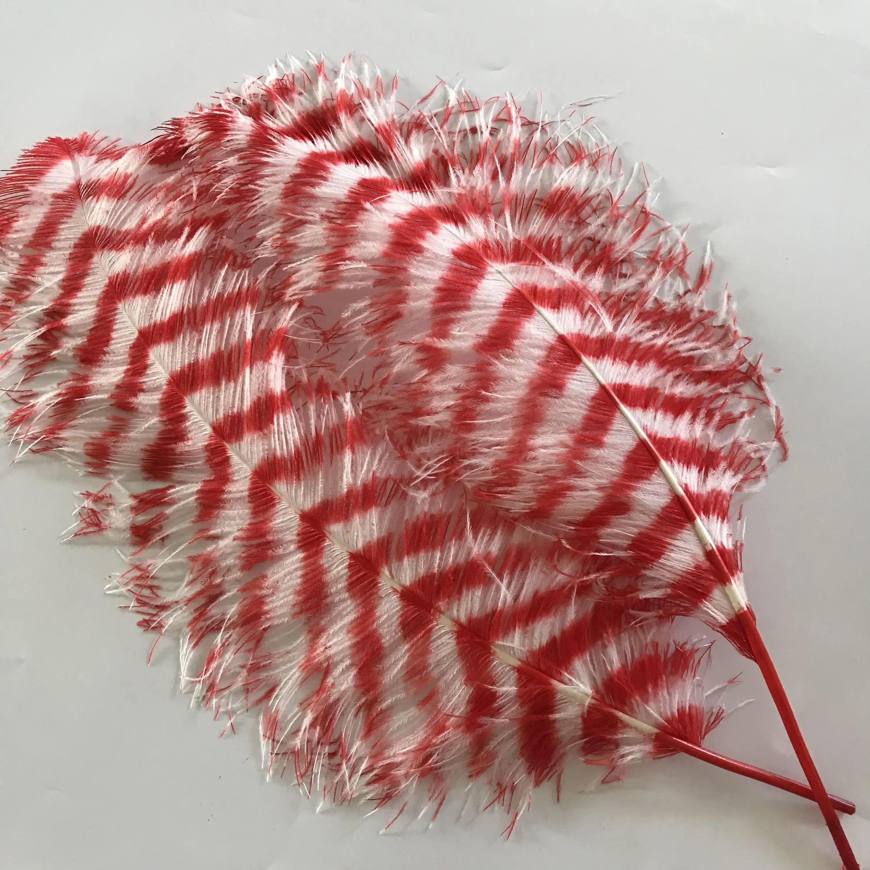 Hot Selling 60Cm Striped Ostrich Feather Red And White Mix Color Ostrich Feather For Decoration
