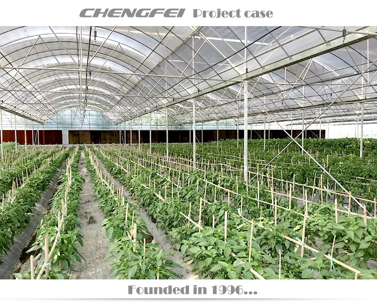 Multi-span agricultural flower vegetable plastic commercial etfe pe film greenhouse supplier for sale