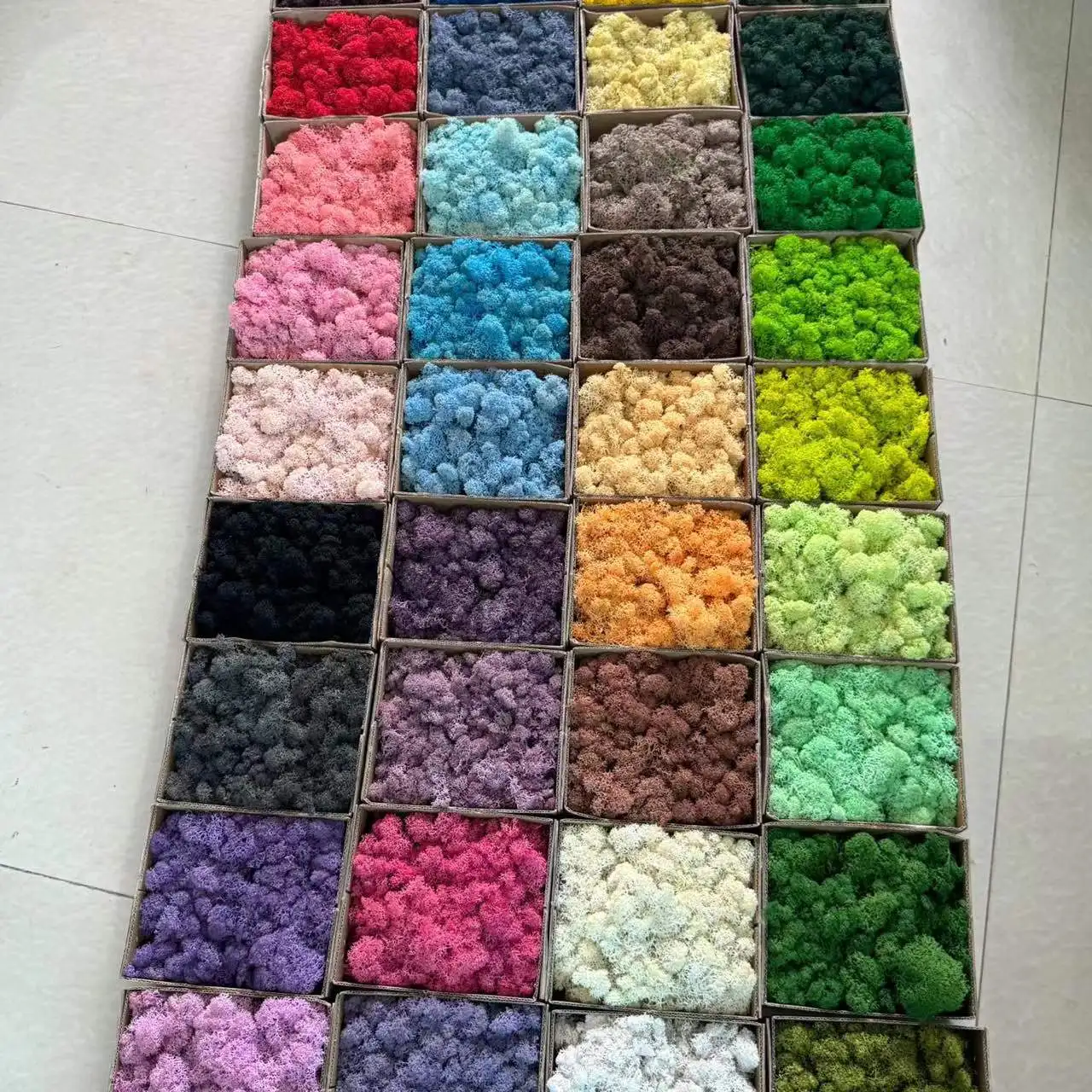 L09 Various Color 100g  Preserved Flat Moss Stabilized Plants Moss Decoration Grass Wall Decoration Moss in Box