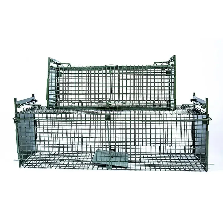 Professional Double Door Mouse Rat Cage Trap Small Animal Trap Cage Metal Mouse Trap
