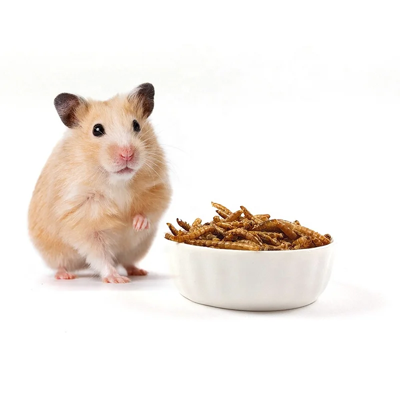 Mealworm желтый mealworm с высоким содержанием белка птица черепаха хомяк специальная закуска червь высушенная еда