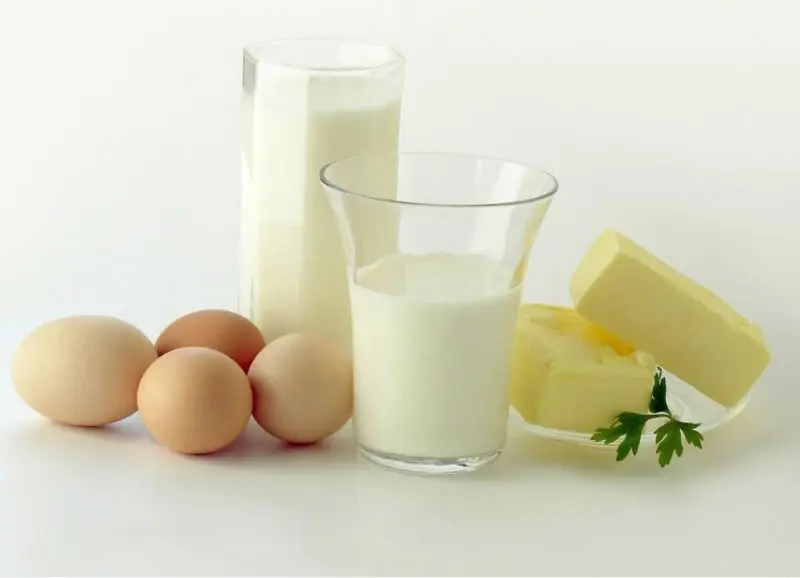 Boiled egg cooker timer Mini egg poacher plastic egg cooker for home use electric