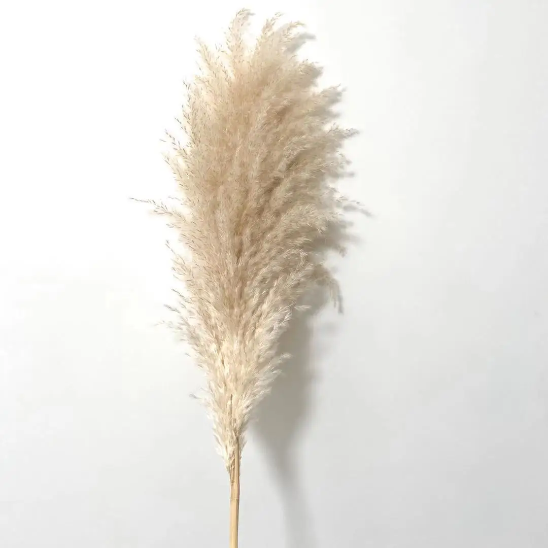 
Christmas Decoration Flowers Pampas Grass Wedding Large Pampas Grass Dried 
