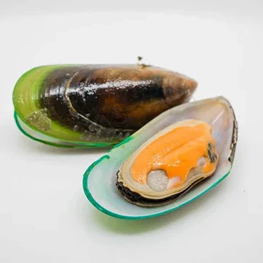 2023 Season Frozen New Zealand Green Mussel Cooked Half Shell Iqf Shellfish Seafood Boiled Black Big Size