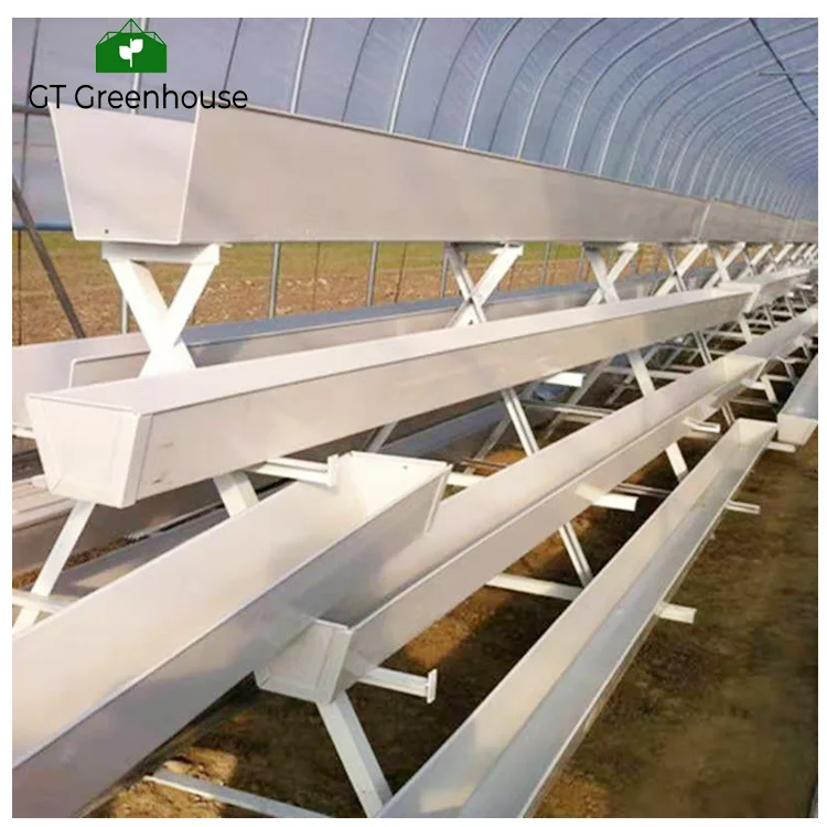 Hydroponic System for Agriculture