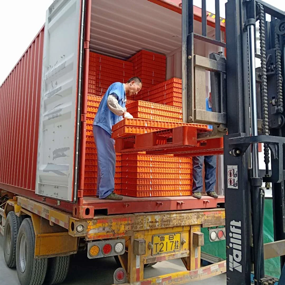 Poultry Chicken Transport Coop Duck Transport Box Chicken Transport Cage