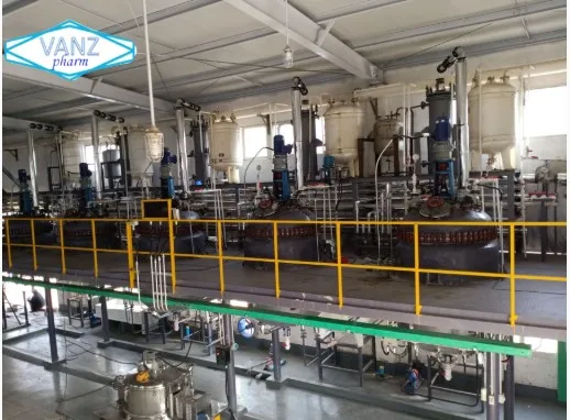 
bulk supply nootropics powder /Noopept/nsi 189 //Sunifiram/Unifiram//alpha-gpc Phenibut/ 