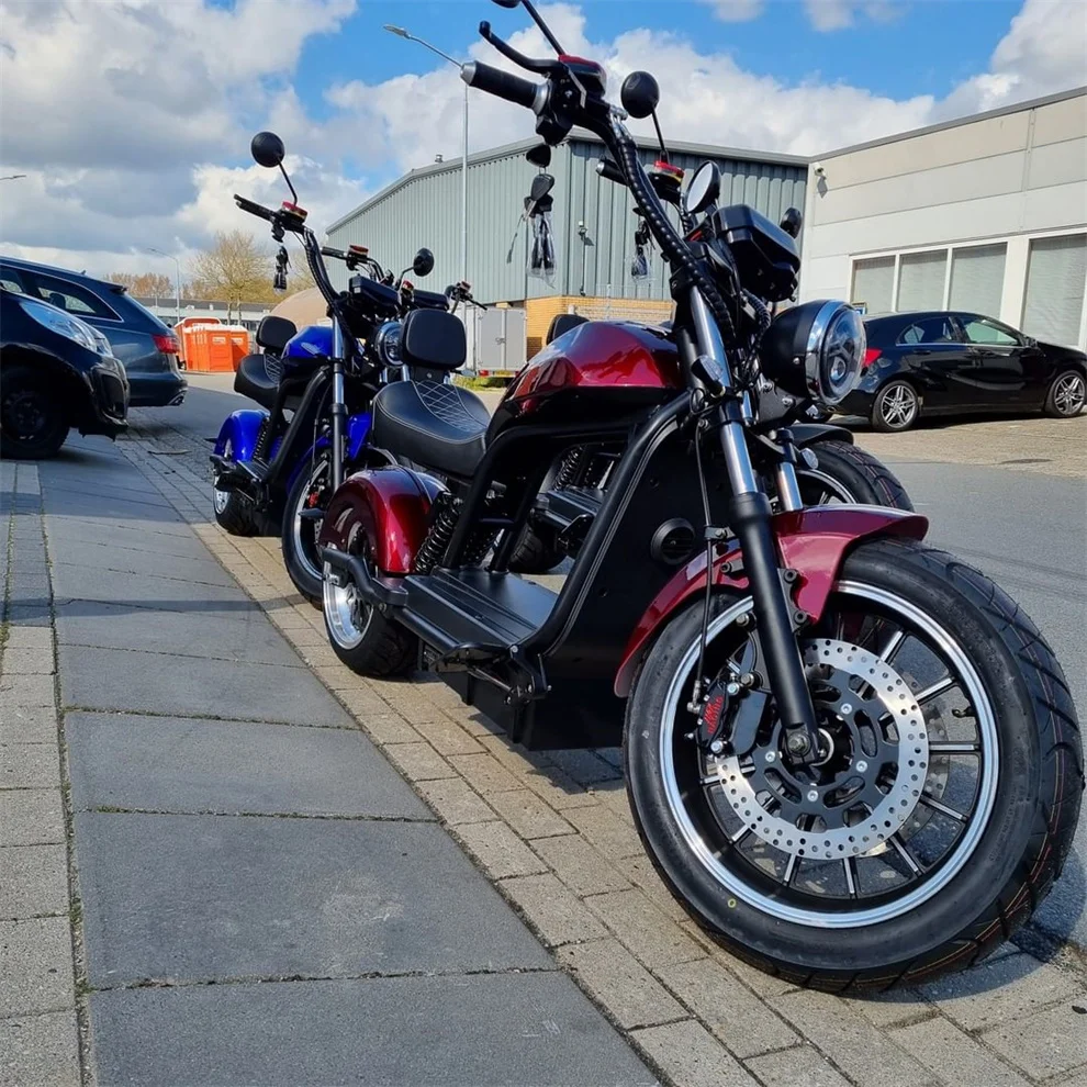 Factory Directly Supply 60v 20ah Harleyment 2 Wheel Citycoco Electric Scooter For Adults