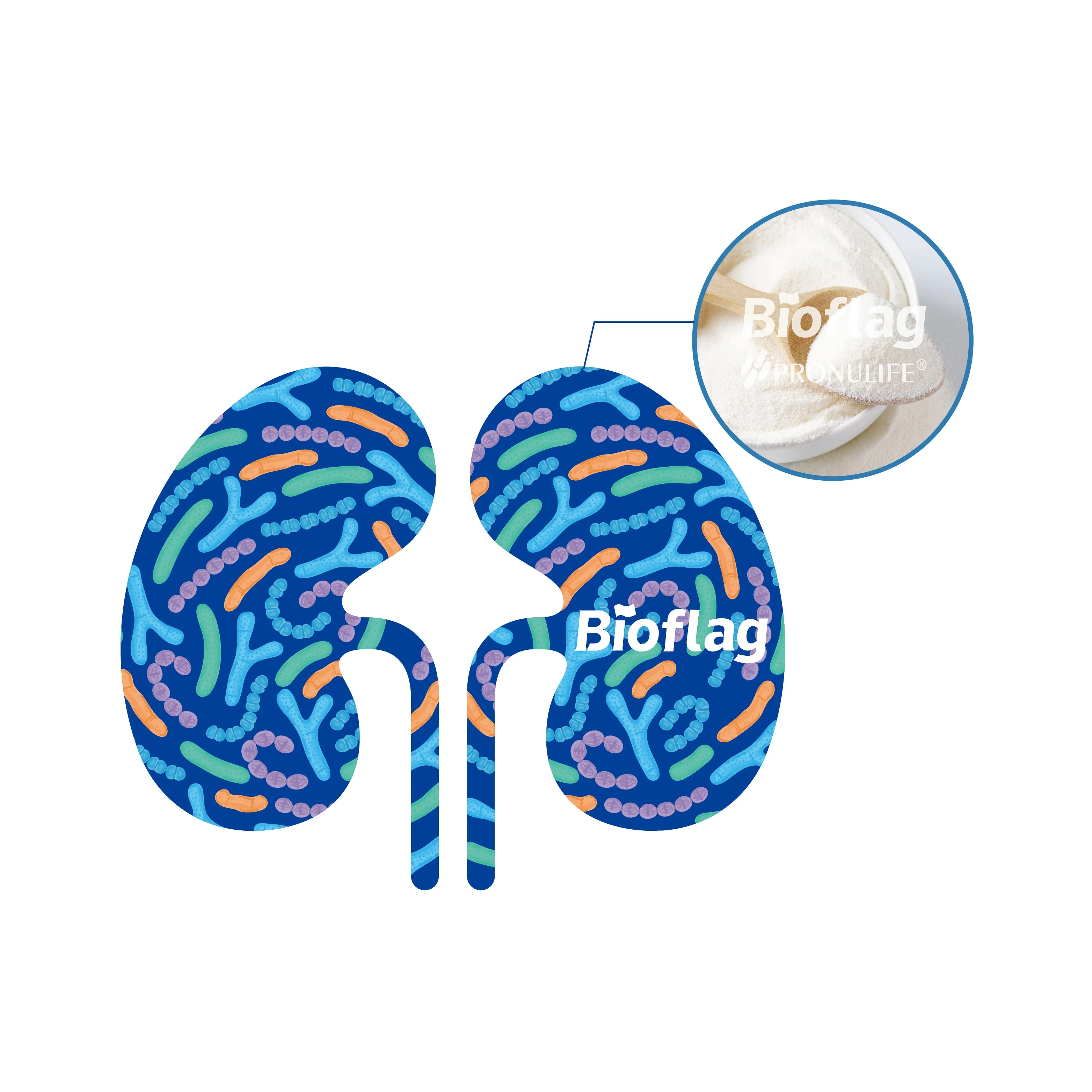 Clinically proven high quality hot sale low cost Probiotics For kidney disease
