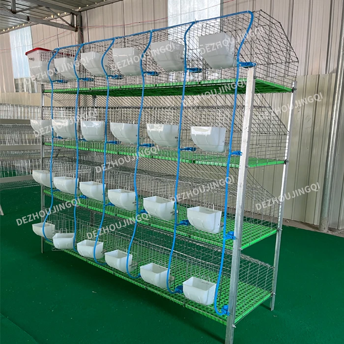 Indoor Rabbit Farming Cage Commercial Breeding Farm