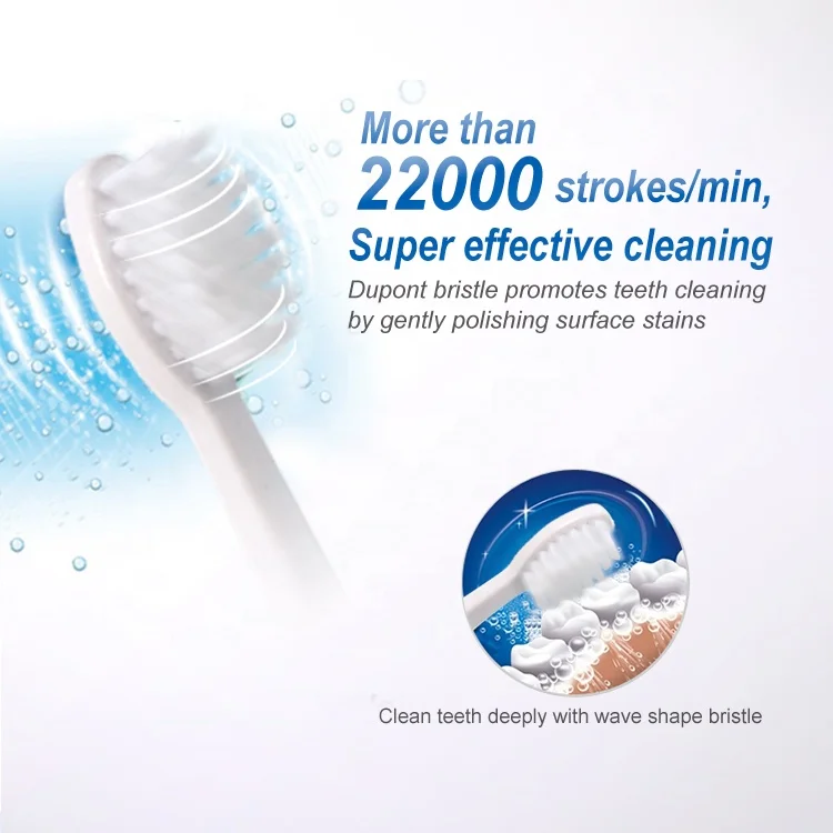 Seago Adult Fashion 2 In 1 Portable Waterproof Automatic Battery Powered Sonic Electric Toothbrush With UV Sterilizer