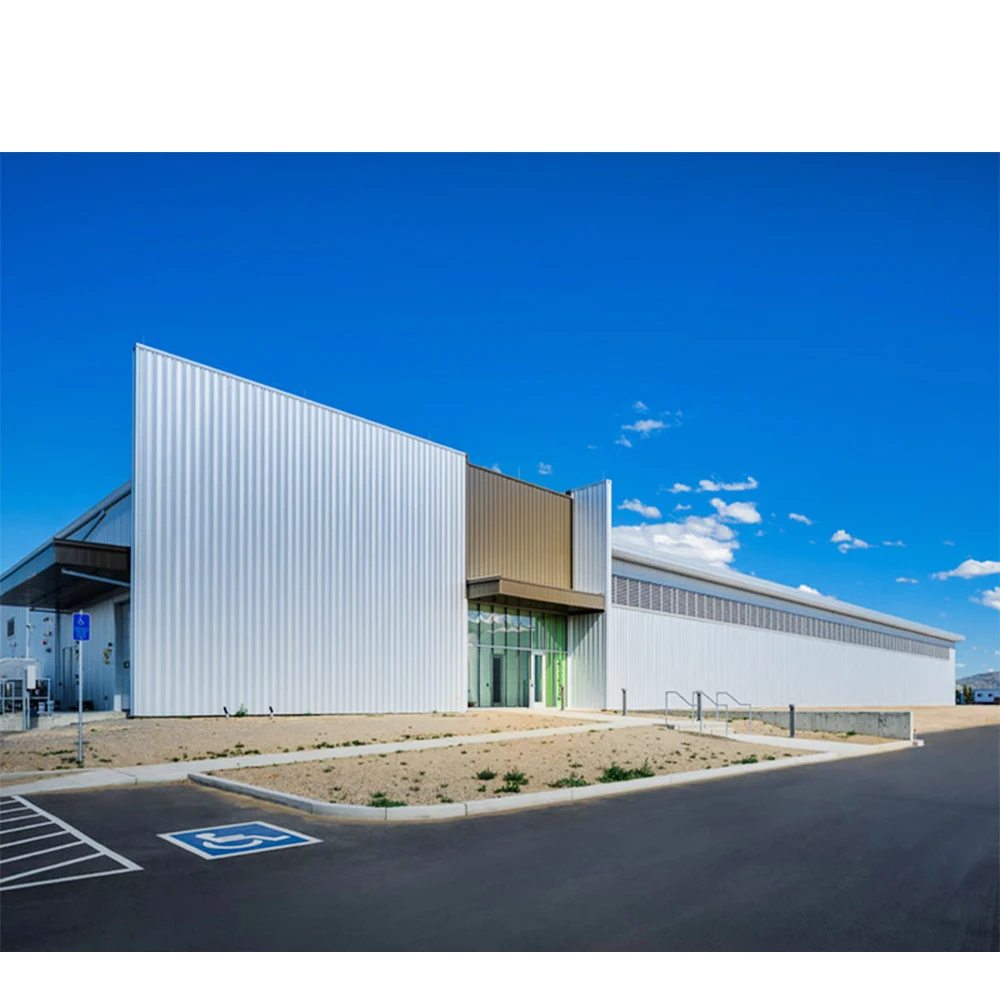 Industrial Design Prefabricated Steel Structure Multi-Warehouse Workshops & Plants Construction Building