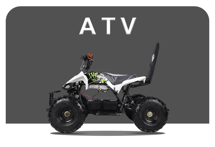 SS100E-3-ATV_01.jpg